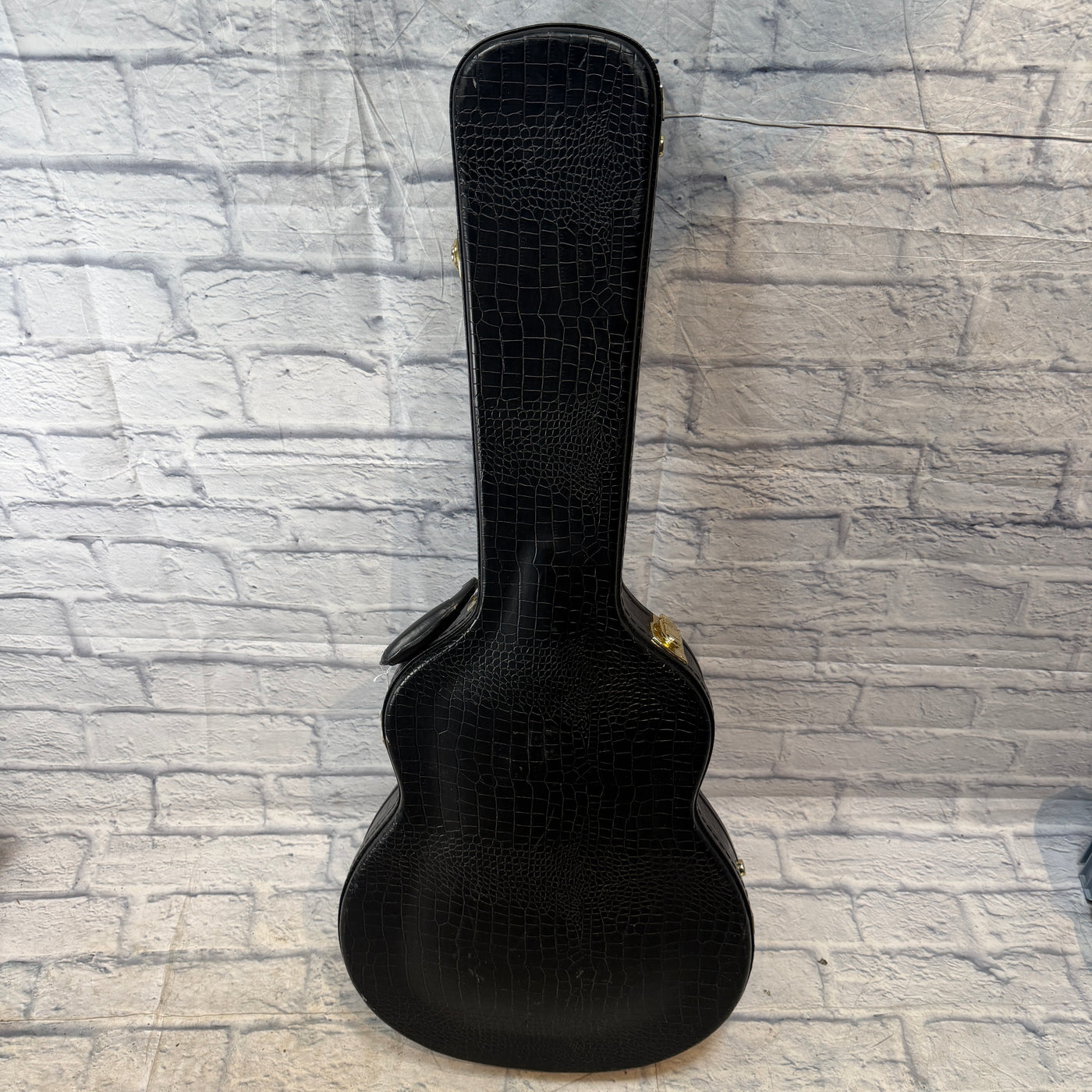 Taylor T5 Crocodile Case Hard Case