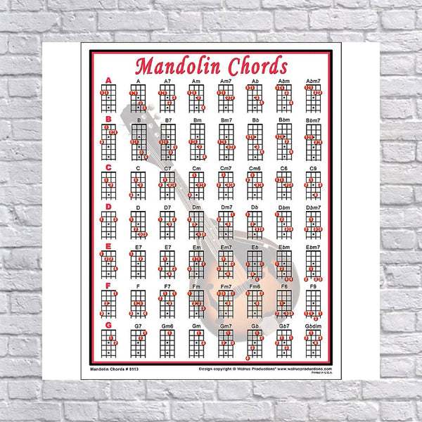Walrus Productions Mandolin Chord Mini Chart - Evolution Music
