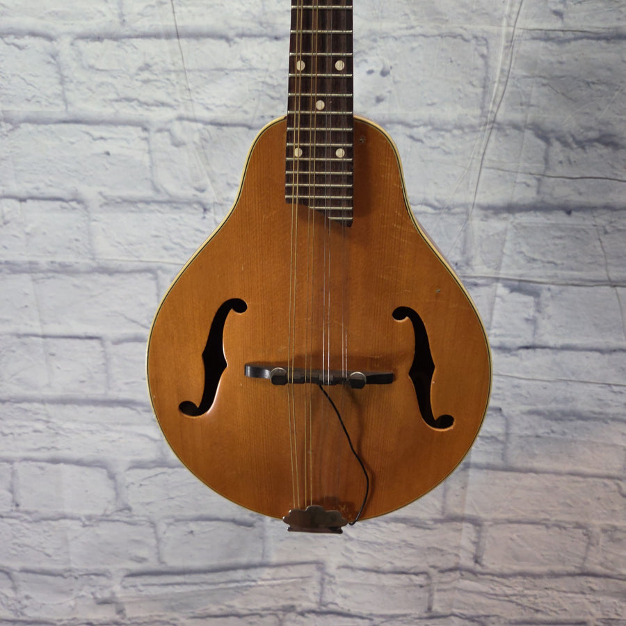 Kay A Style Mandolin w/ Case Mandolin