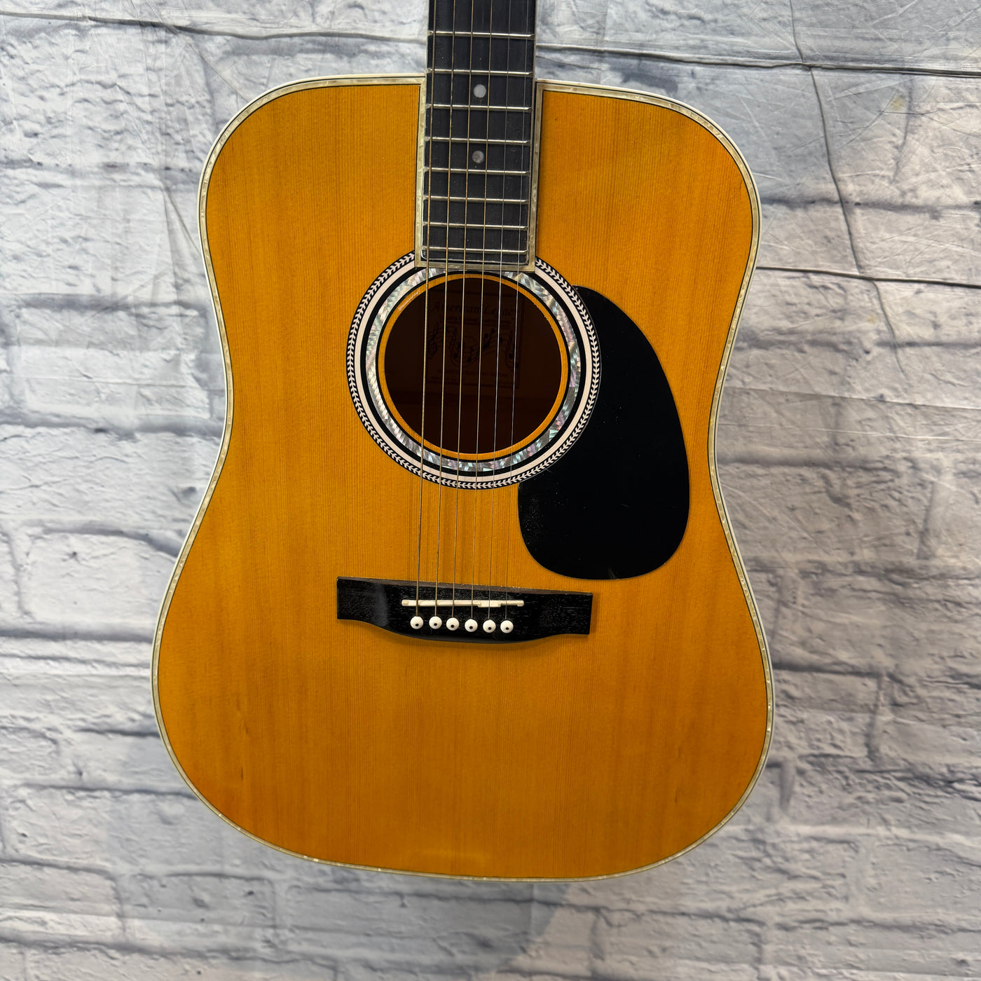 Esteban AS IS Acoustic Guitar AL-100 Acoustic Guitar