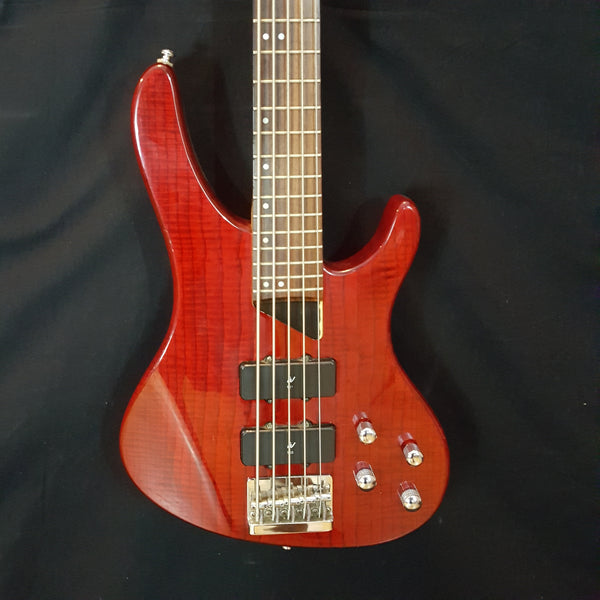 Washburn XB-500 w/ Case - Woody's Music Store Tega Cay Also