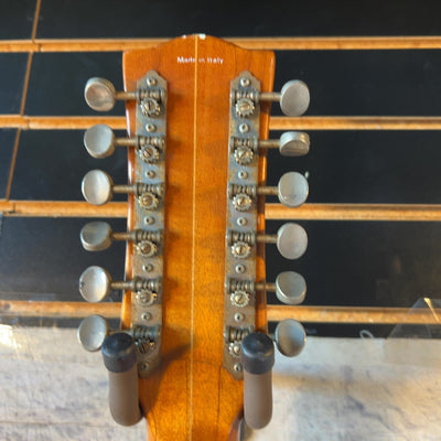 EKO 12 String PROJECT 12 String Acoustic Guitar