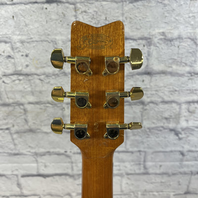 Washburn DK20CET Dreadnaught Acoustic Guitar