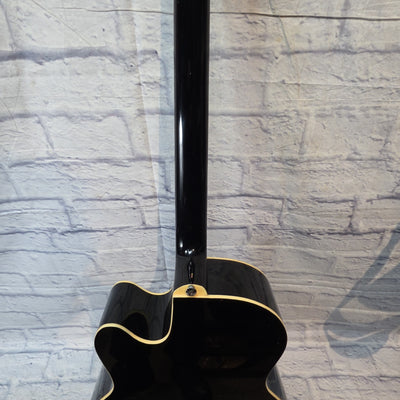Ibanez AEB5E-BK ( Green Strings)  Acoustic Bass