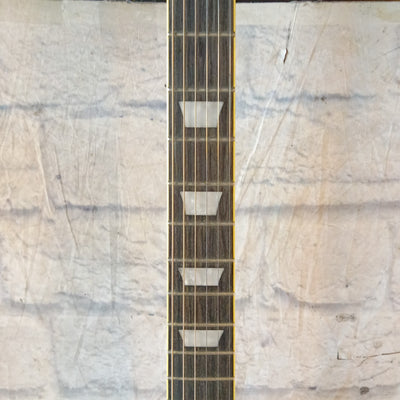 Epiphone Les Paul traditional pro II Electric Guitar
