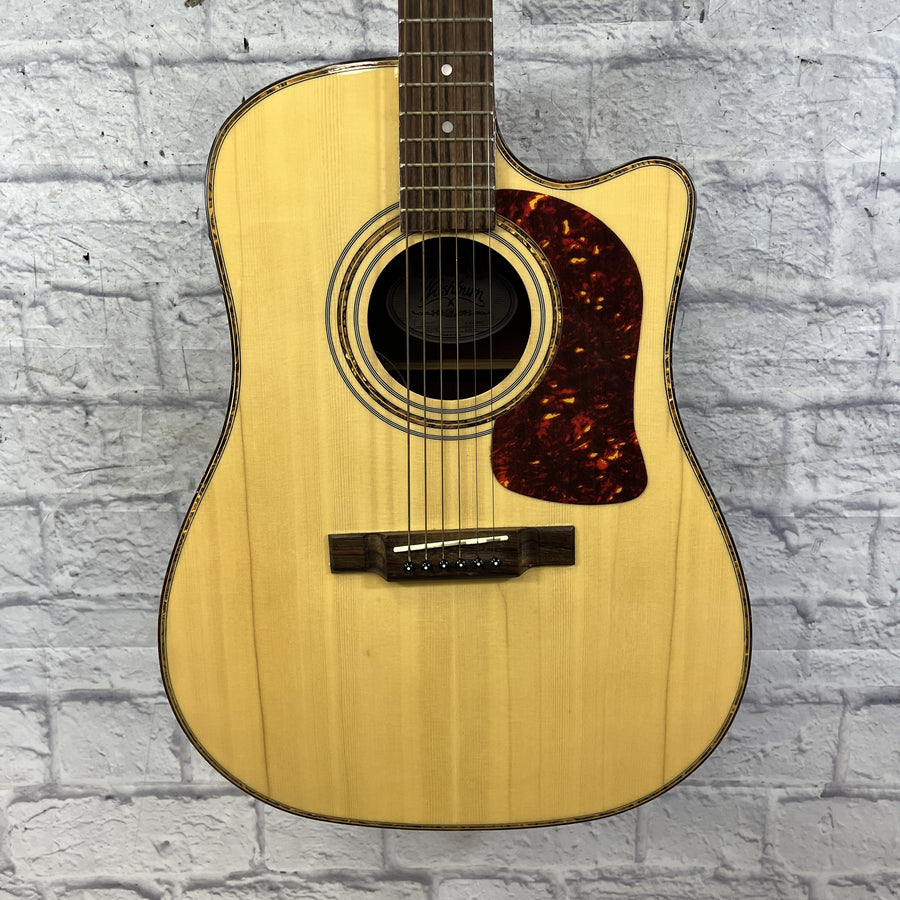 Washburn DK20CET Dreadnaught Acoustic Guitar