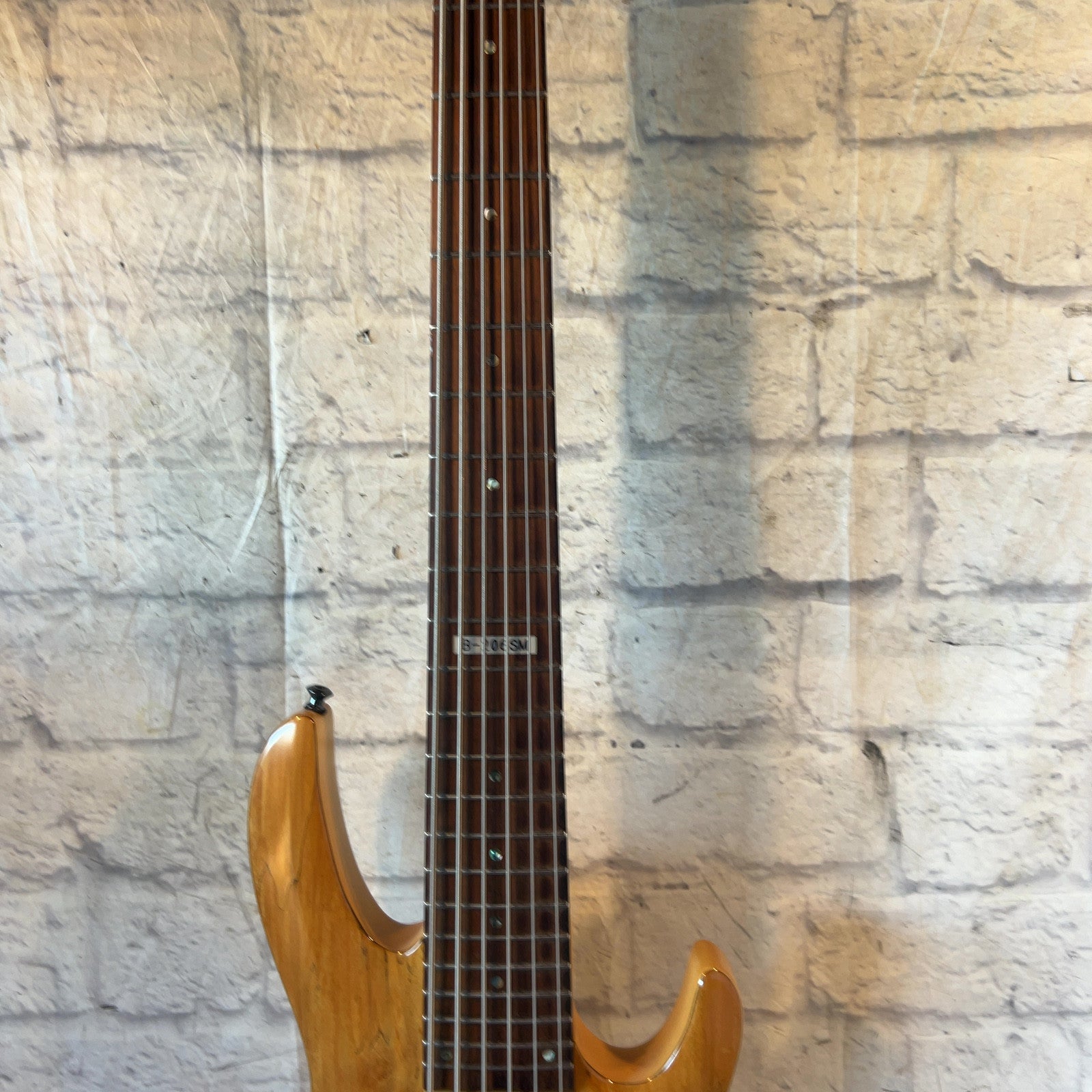 LTD B206SM Signed by Victor Wooten 6 String Bass Guitar