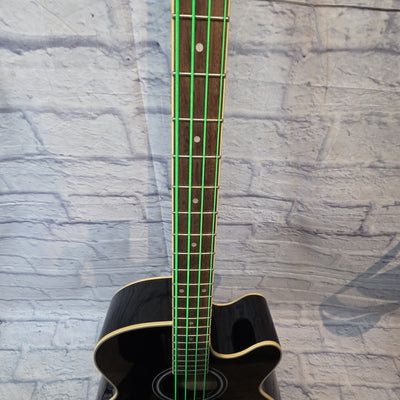 Ibanez AEB5E-BK ( Green Strings)  Acoustic Bass
