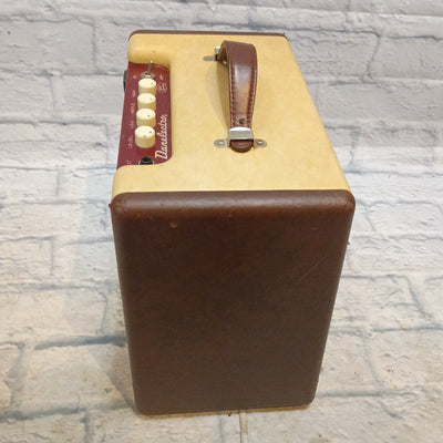 Danelectro Nifty Seventy Guitar Combo Amp