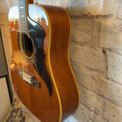 EKO 12 String PROJECT 12 String Acoustic Guitar