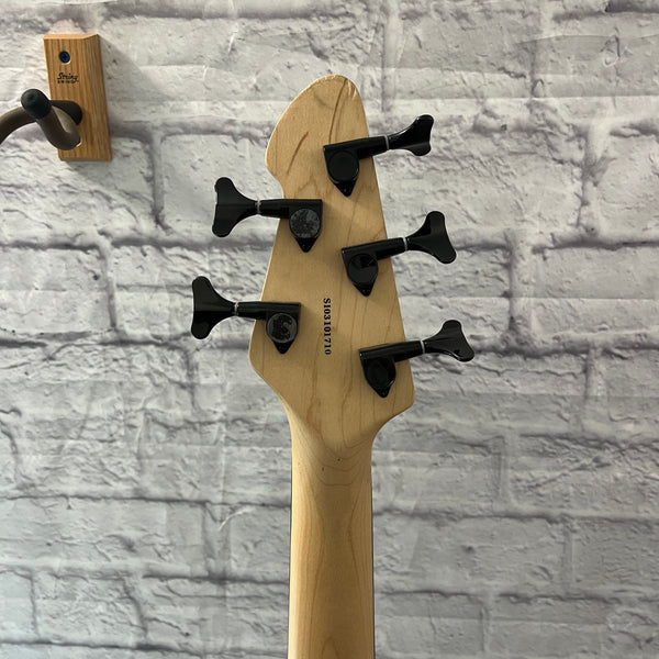 Peavey Millenium BXP 5 String Bass Guitar w/ Hard Case - Evolution Music