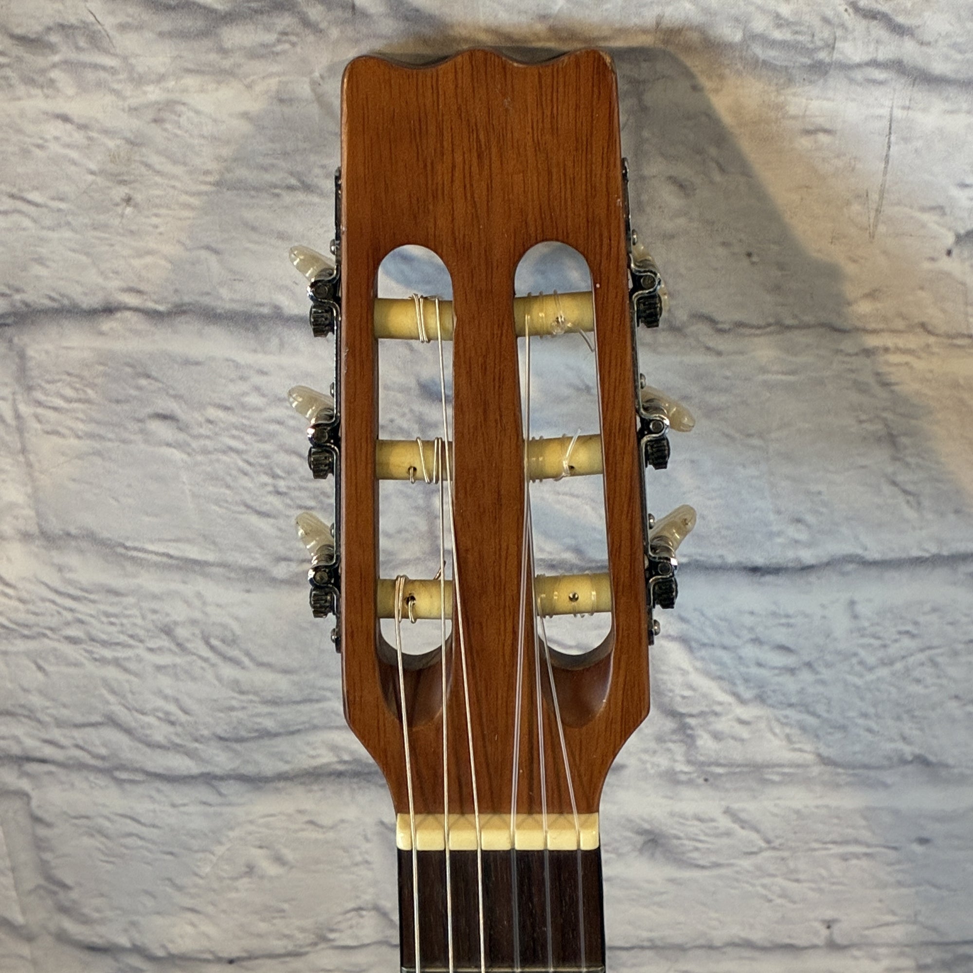 Vantek VIC-1 Classical Acoustic Guitar