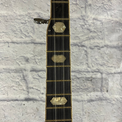 Vivi 5 String Banjo