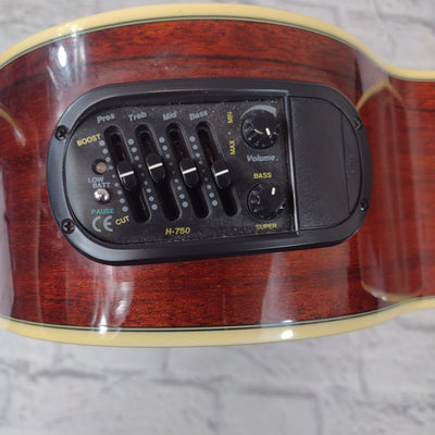 Allen EWJ-40SCE Acoustic Electric Guitar