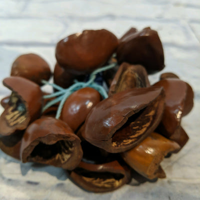 Unknown Three African Seed Pod Rattles Drum Accessory