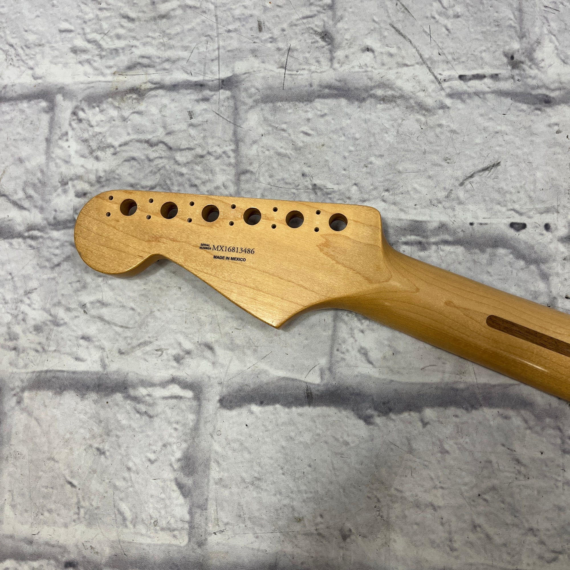 Fender Player Stratocaster Neck - Evolution Music