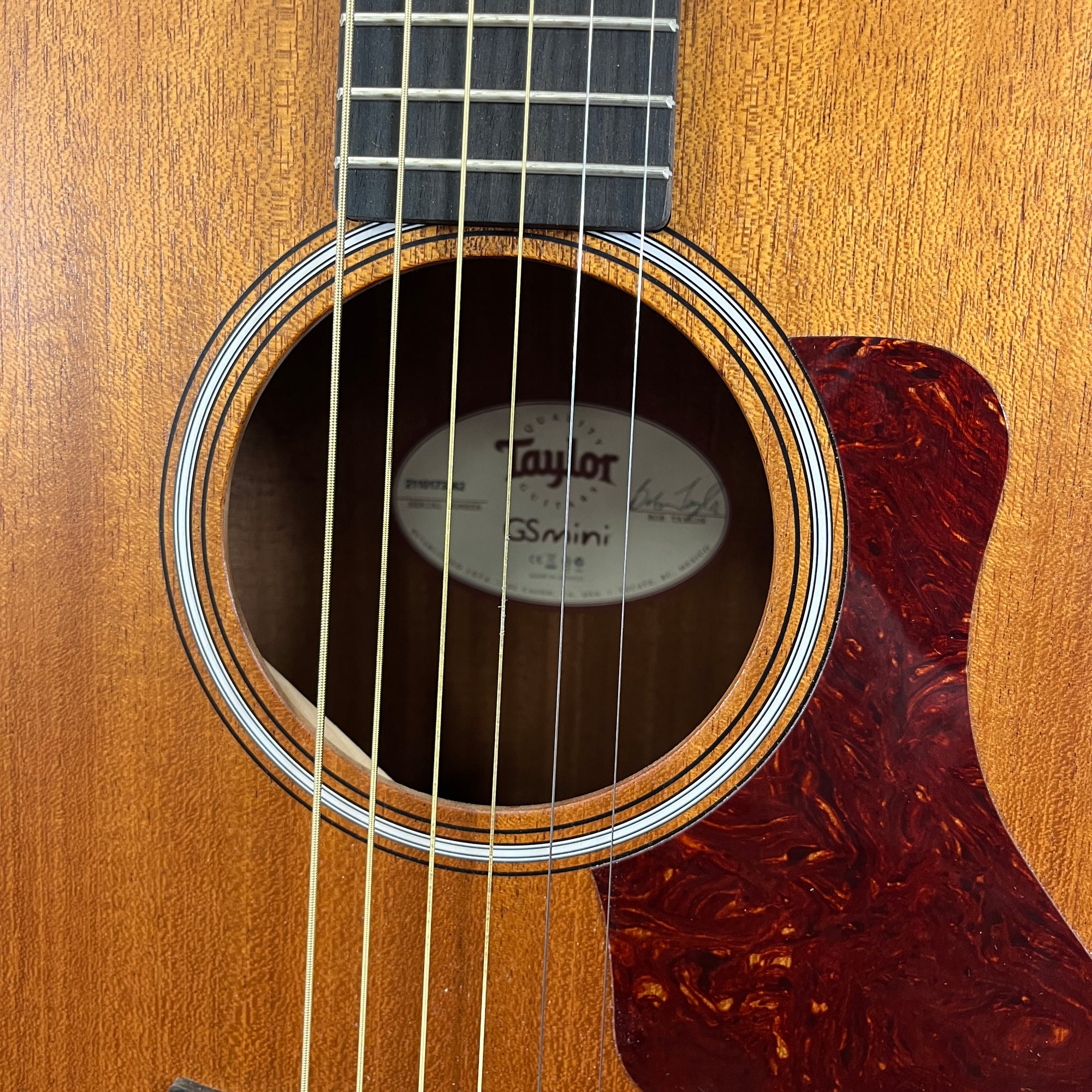 Taylor GS Mini Mahogany with Bag