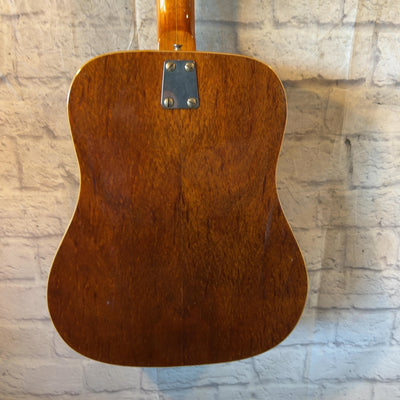 EKO 12 String PROJECT 12 String Acoustic Guitar