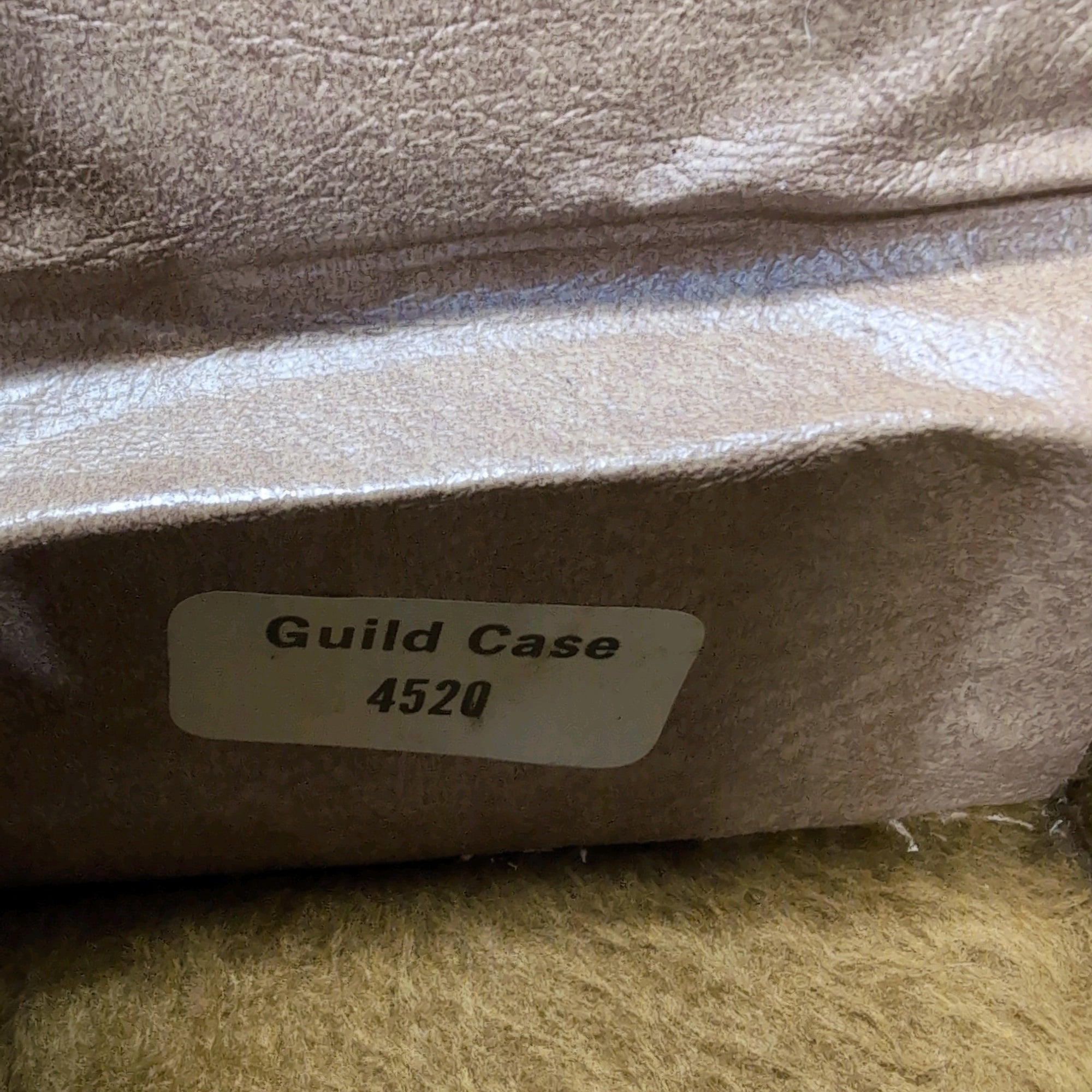 Vintage Guild 4520 Acoustic Hard Case