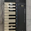 Casio PT-100 32-Key Mini Keyboard