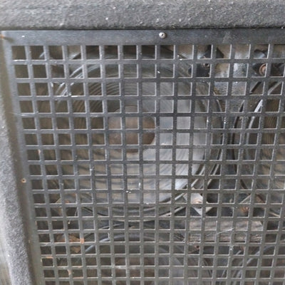 Jackson J412SL 4x12 Guitar Cabinet w/ Randall Jaguar RES-80 Speakers