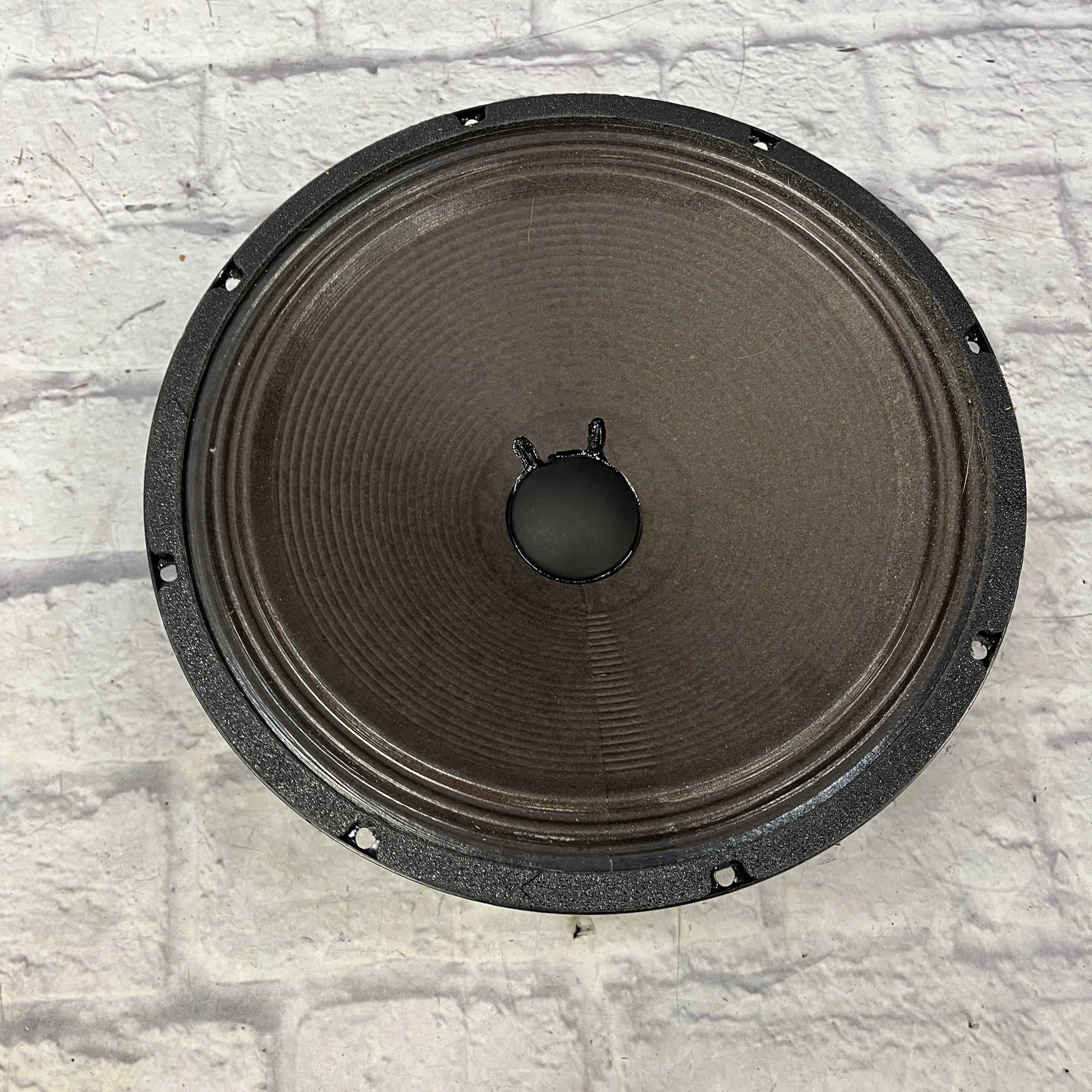 Fender 12 Special Design Replacement Speaker