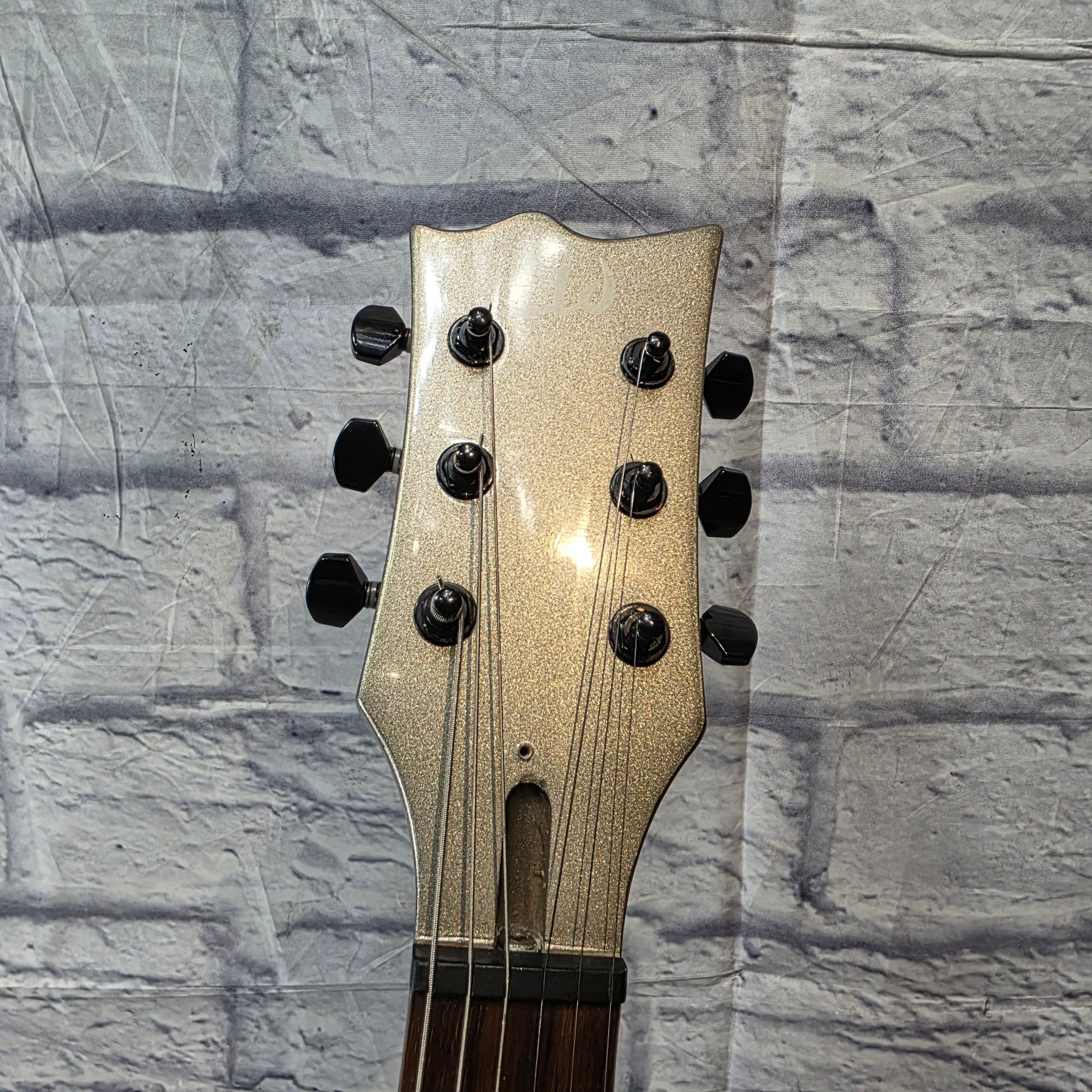 ESP LTD EC-50 Titanium Electric Guitar