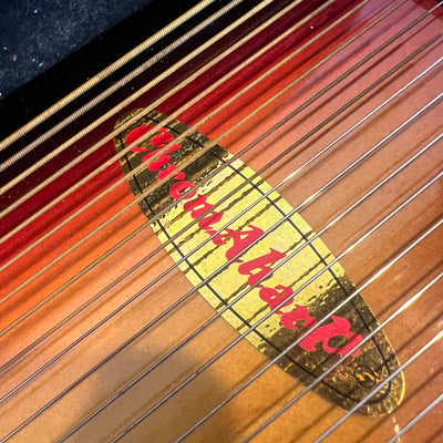 Rhythm Band Inc Chromaharp Auto Harp with Case and Tuning Wrench