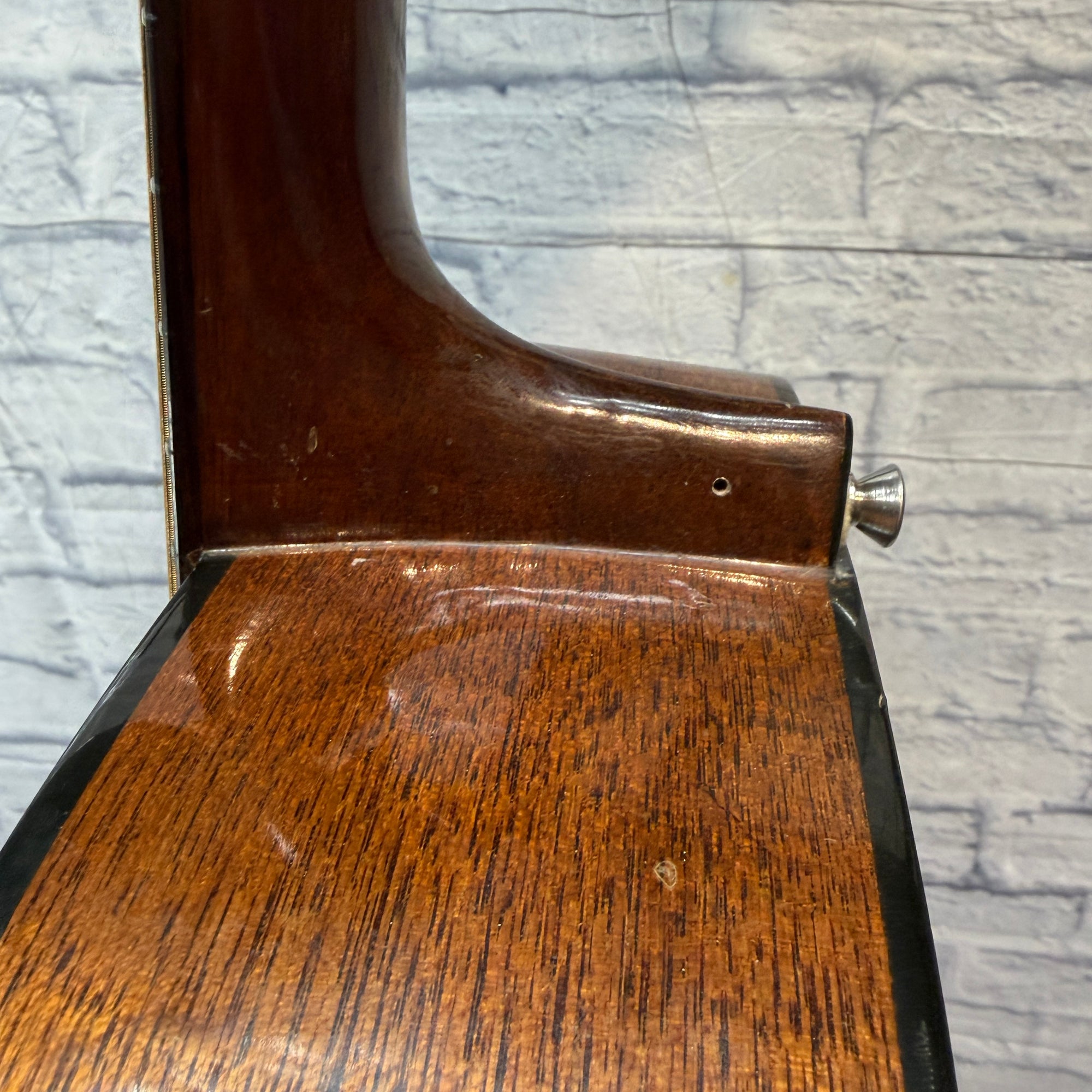 Alvarez Model 5221 Mahogany Lefty 12 String Acoustic Guitar