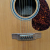 Alvarez Yari DY45N Dreadnaught Acoustic Guitar