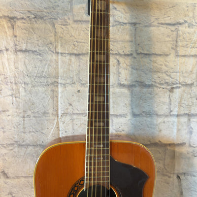 EKO 12 String PROJECT 12 String Acoustic Guitar