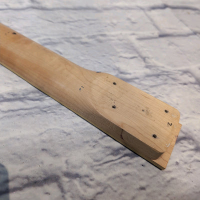 Ibanez Iceman 4 String Bass Guitar Project MIK