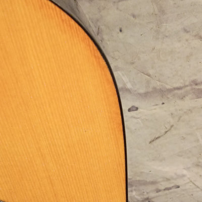 Squier SA-50 Acoustic Guitar