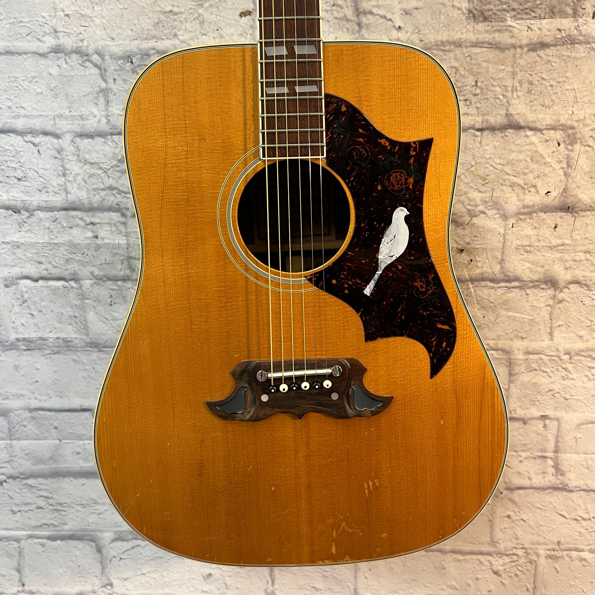 Ibanez 693 Concord Dove Acoustic Guitar Acoustic Guitar