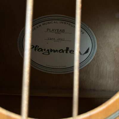 Playmate PLAYEAB Acoustic Bass Guitar