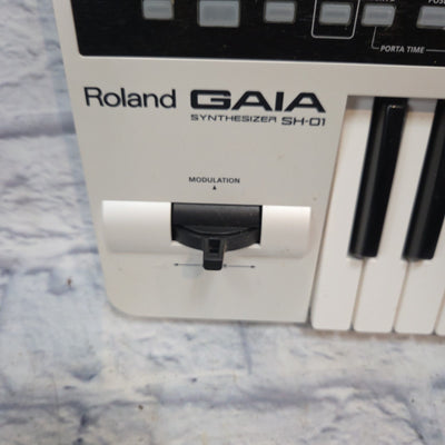 Roland GAIA SH-01 Synth