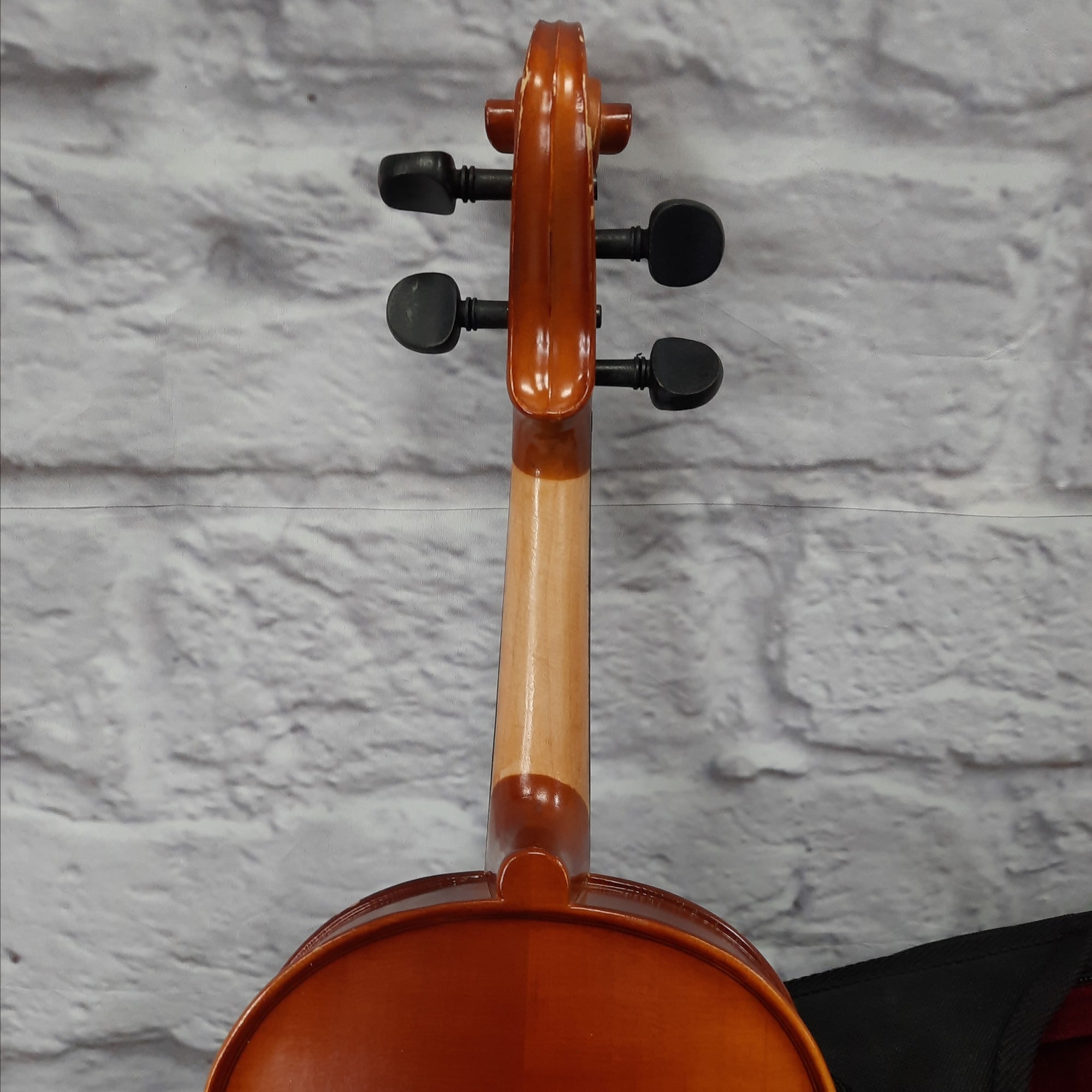 Ametto CA100 14" Viola - C24342