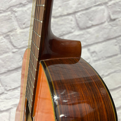 Segovia Cedar Classical Acoustic Guitar