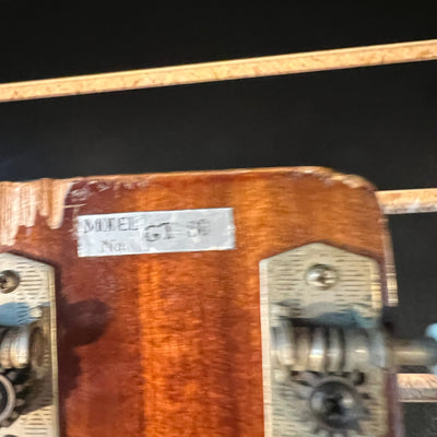 Ensenada GT30 12 String Acoustic Guitar