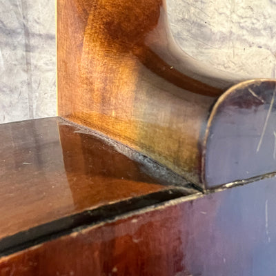 Ensenada GT30 12 String Acoustic Guitar