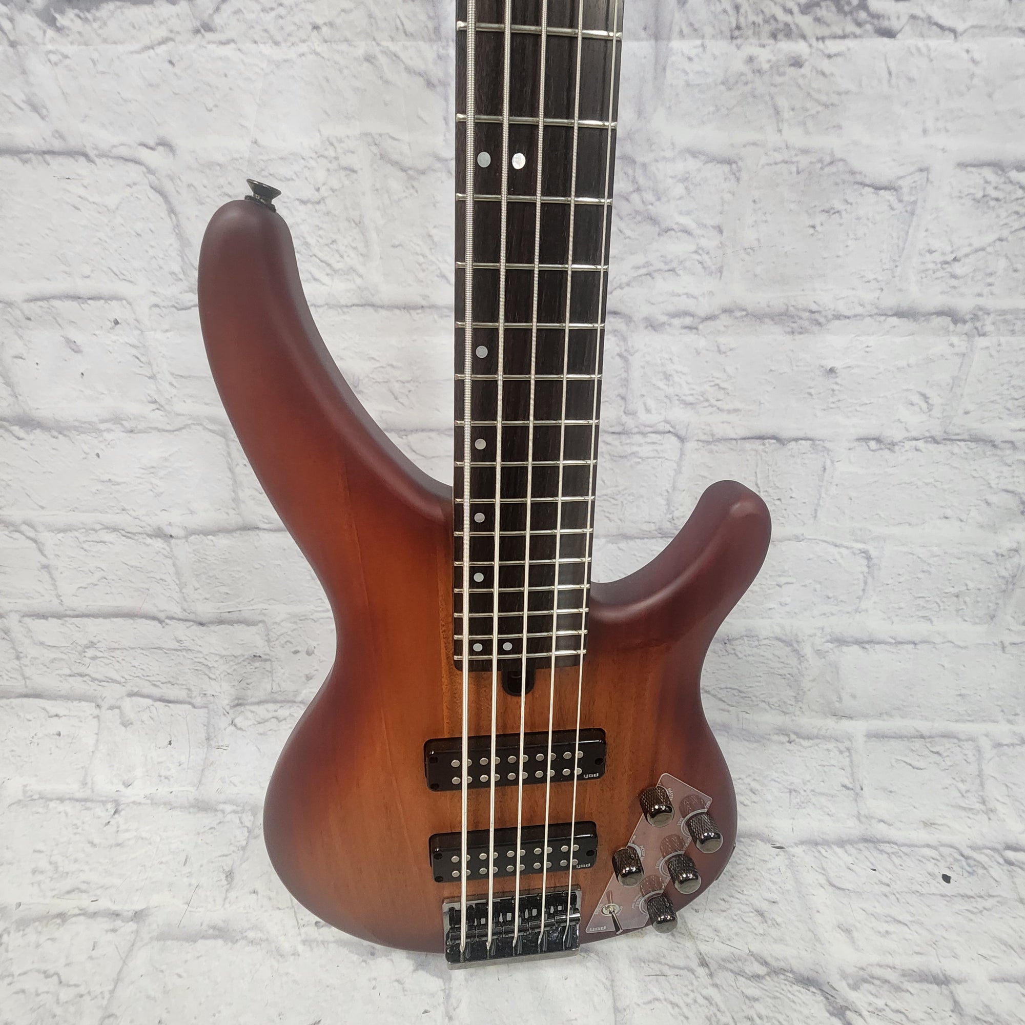 Yamaha TRBX505 5 String Bass Guitar - Evolution Music
