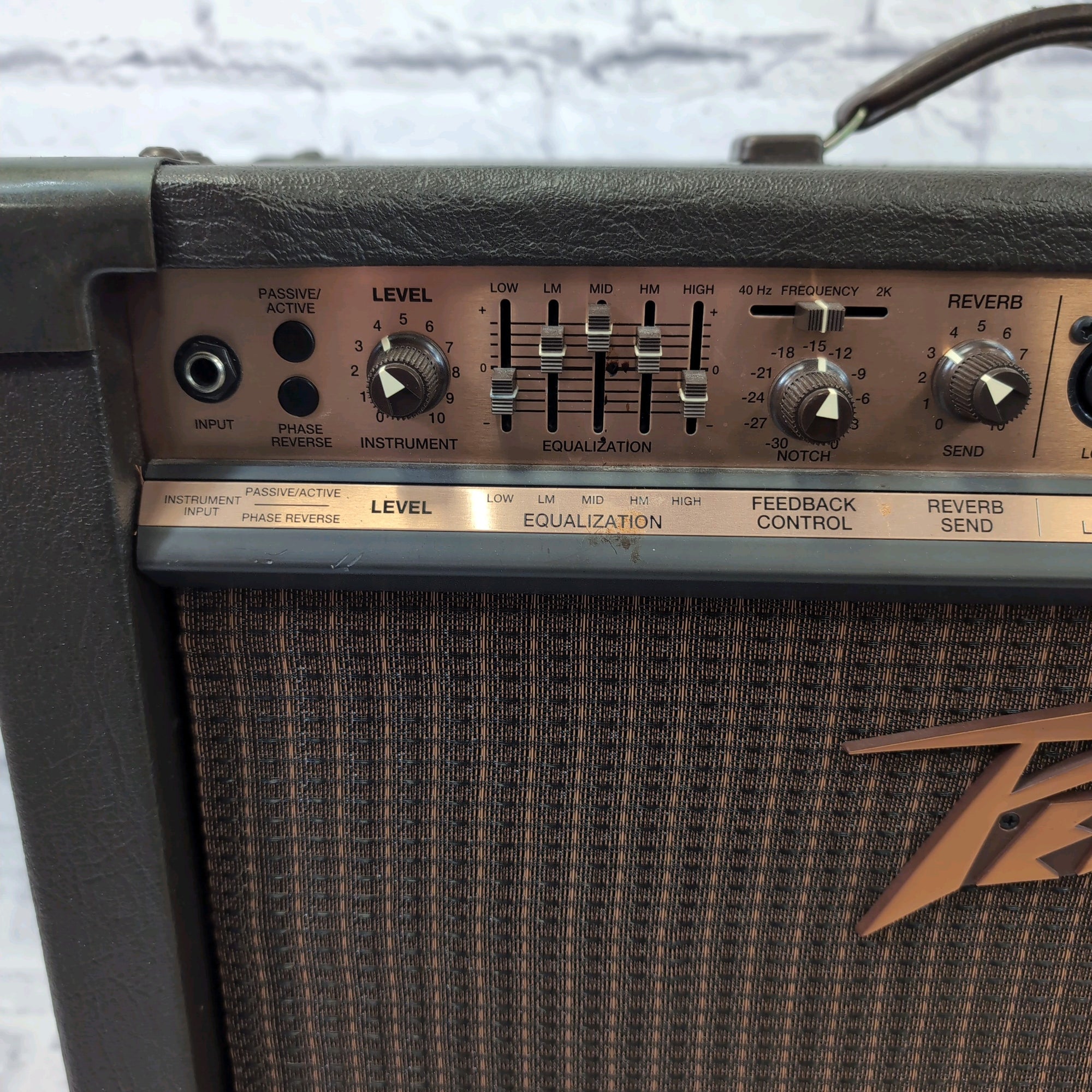 Peavey Ecoustic 112 Acoustic Guitar Combo Amp