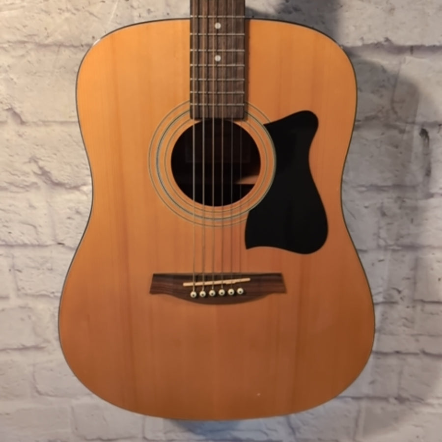 Ibanez IJV100S-NT-38-01 Dreadnought Acoustic Guitar - Natural