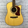 Washburn DK20CET Dreadnaught Acoustic Guitar