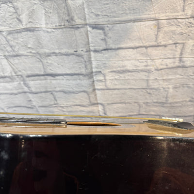 Burswood Acoustic Guitar