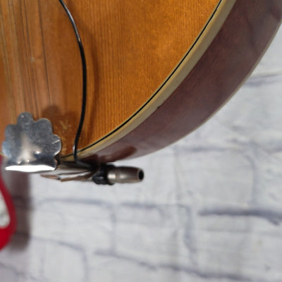 Kay A Style Mandolin w/ Case Mandolin