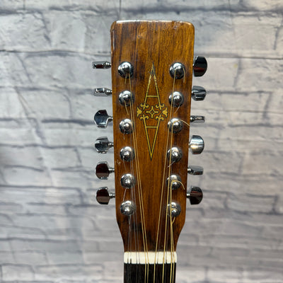 Alvarez Model 5221 Mahogany Lefty 12 String Acoustic Guitar