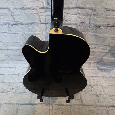Ibanez AEB5E-BK ( Green Strings)  Acoustic Bass