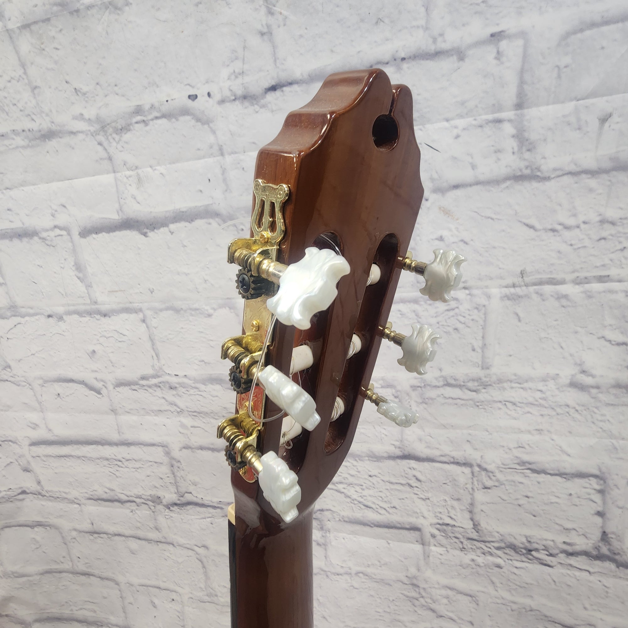 Washburn C5CE Classic Acoustic Electric Guitar
