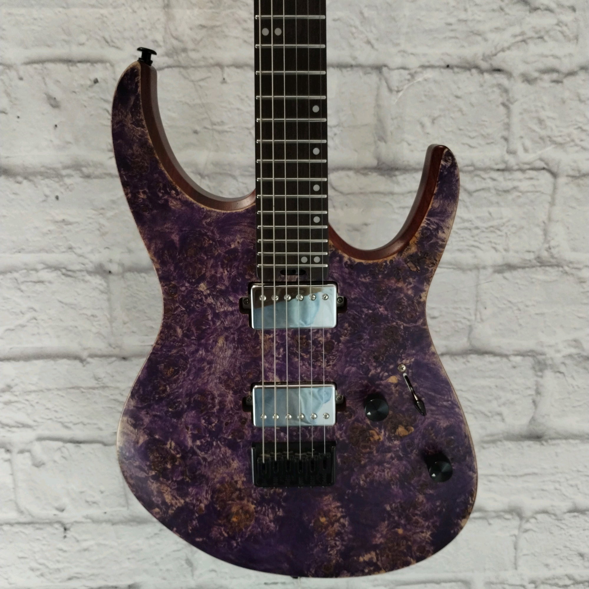 Eart Explorer 1 Electric Guitar
